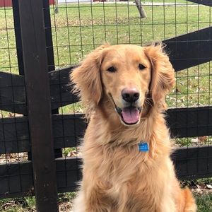 Meet your Posher, Avery